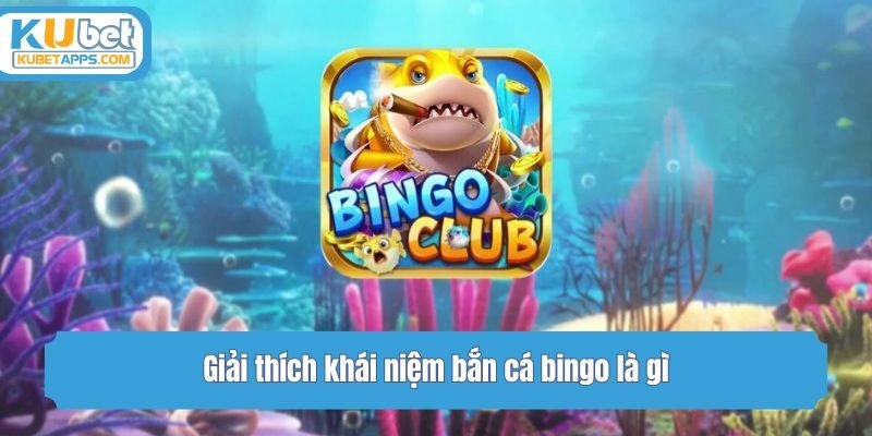 Giải thích khái niệm bắn cá bingo là gì