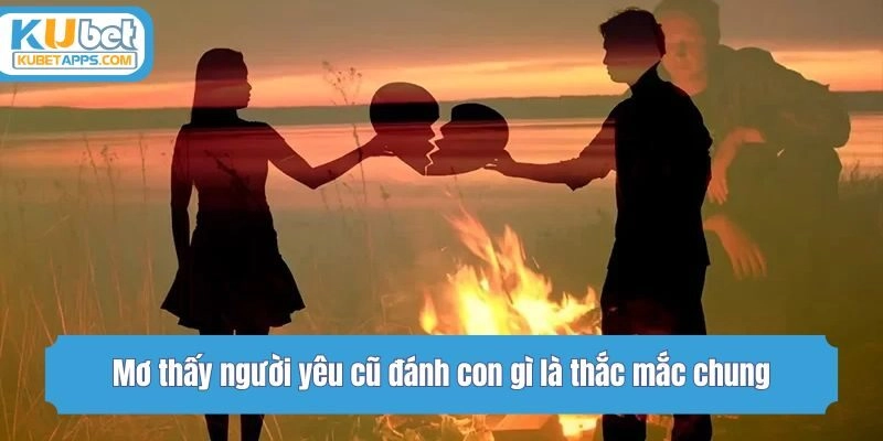 Mơ thấy người yêu cũ đánh con gì là thắc mắc chung